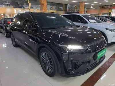 2023 Leapmotor C11 Pure Electric 500 Comfort Edition, фото 4, лот 10481536