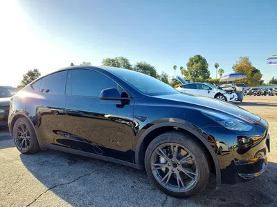 2025 TESLA MODEL Y, фото 4, лот 10856589