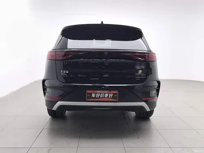 2024 BYD Tang New Energy DM-i Honor Edition 112KM Premium, фото 4, лот 10272835