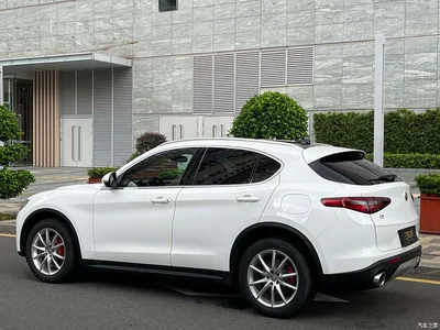 2017 Alfa Romeo Stelvio 2.0T 280HP Luxury, фото 4, лот 10239848