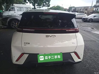 2024 BYD Seagull Glory Edition 305km Vitality Edition, фото 4, лот 10259890