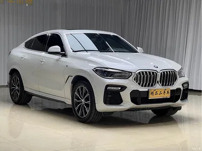 2020 BMW X6 xDrive40i M Sport Package, фото 3, лот 10468950