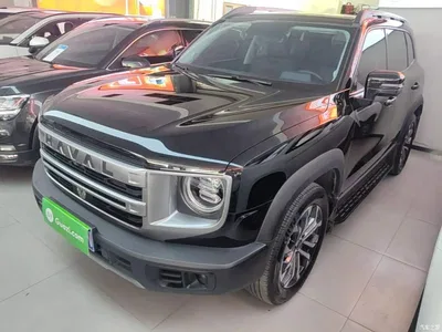 2024 Haval Big Dog Model 1.5T DCT Labrador Edition, фото 2, лот 10676032