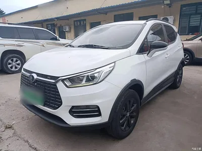 2019 BYD Yuan New Energy EV360 Smart Connect Premium Edition, фото 2, лот 10294256