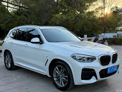 2021 BMW X3 xDrive25i M Sport Package, фото 3, лот 11183769