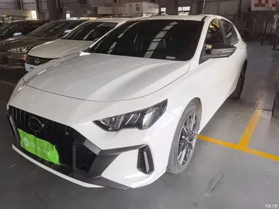 2024 GAC Trumpchi Trumpchi Emkoo Model 270T DCT Shadow Leopard S Edition, фото 2, лот 11569598