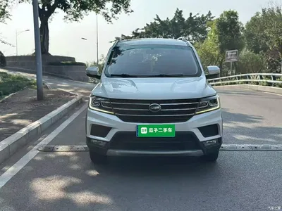 2020 SWM Motor SWM X3 1.5L Manual Premium 7-seater, фото 3, лот 11579167