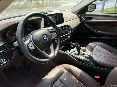 2020 BMW 5 Series 530Li Leading Luxury Package, фото 4, лот 11097929