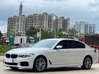 2019 BMW 5 Series Facelift 525Li M Sport Package, фото 1, лот 11553865