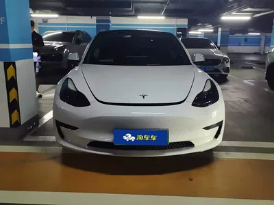 2021 Tesla Model 3 Facelift Standard Range RWD Upgrade 3D1, фото 2, лот 10894169