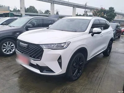 2021 Haval H6 3rd Generation 2.0T Auto AWD Max, фото 1, лот 11074612