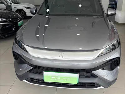 2025 BYD Song Pro New Energy 2nd Gen DM-i 115KM Surpassing Type, фото 2, лот 11082205