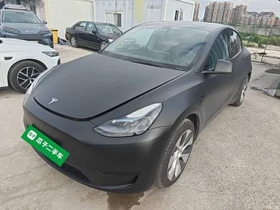2022 Tesla Model Y Rear-Wheel Drive Version, фото 2, лот 10370653