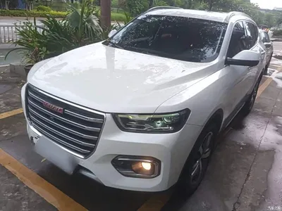 2018 Haval H6 Red Label 1.5T Automatic Luxury, фото 1, лот 10417565