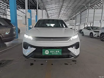 2025 BYD Song Pro New Energy 2nd Generation Smart Driving Edition DM-i 115KM Excellence Type, фото 3, лот 10272652