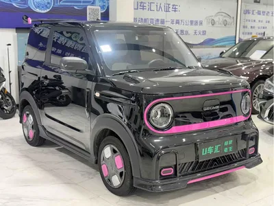 2025 Geely Galaxy Panda Model Year 210km Panda Kart, фото 3, лот 10431261