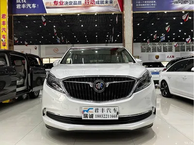 2017 Buick GL8 ES 28T Flagship China V, фото 1, лот 10252797