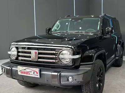 2021 Tank 300 Urban Edition 2.0T Stylish, фото 1, лот 10344165
