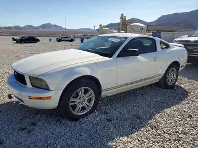 2005 FORD MUSTANG, фото 1, лот 10505579