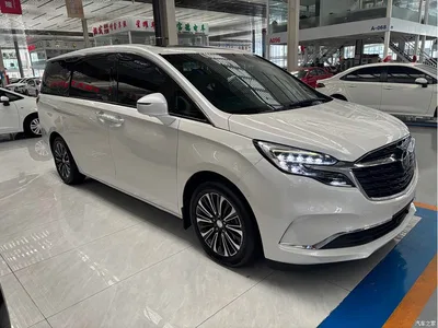 2020 Buick GL8 Model ES Landglory 653T Luxury, фото 3, лот 11582259