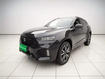 2017 WEY VV7 2.0T Flagship, фото 1, лот 10388917
