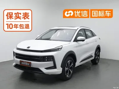 2021 Sehol QX 300T DCT Premium Smart Connect, фото 1, лот 11171157