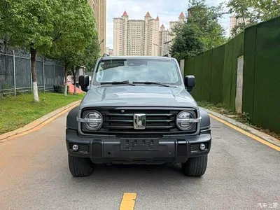 2021 Tank 300 Off-road Version 2.0T Conqueror, фото 2, лот 10383312