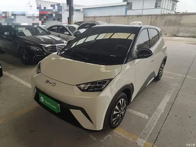 2024 BYD Seagull Glory Edition 305km Vitality Edition, фото 1, лот 11089564