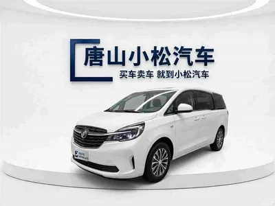 2020 Buick GL8 Model Land Business Class 652T Comfort, фото 1, лот 10250131