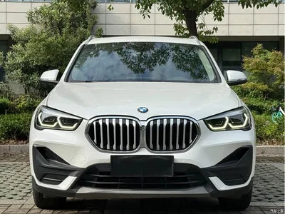 2021 BMW X1 sDrive20Li Fashion, фото 1, лот 10404848