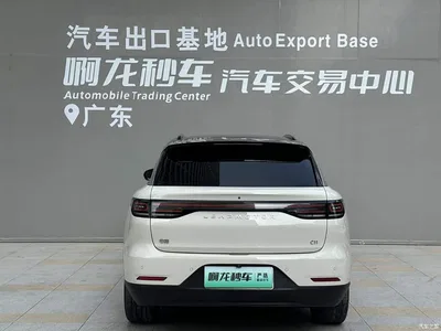 2026 Leapmotor C11 Pure Electric 640 LiDAR Edition, фото 4, лот 11088541