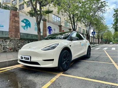 2023 Tesla Model Y Rear-Wheel Drive Edition, фото 1, лот 11099239
