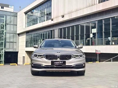 2020 BMW 5 Series 530Li Leading Luxury Package, фото 2, лот 11016403