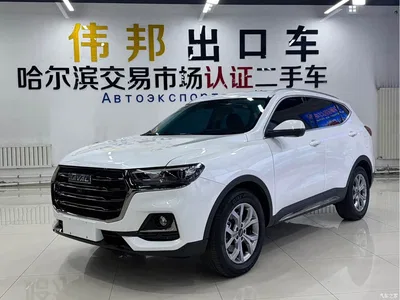 2021 Haval H6 Model National Trend Edition 1.5T Auto Champion, фото 1, лот 10282089
