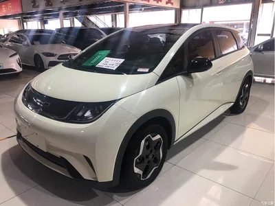 2021 BYD Dolphin Model 405km Fashion Edition, фото 1, лот 11018157