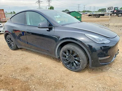 2020 TESLA MODEL Y, фото 4, лот 10852168