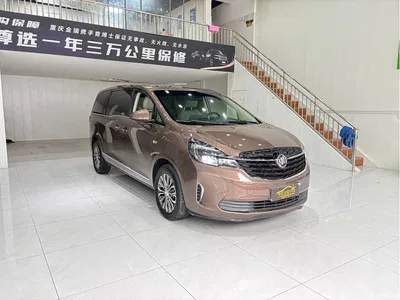 2021 Buick GL8 Land Business Class 652T Luxury, фото 3, лот 10576777