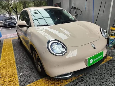 2023 Ora Good Cat 401km Standard Range Honor Edition (LFP), фото 4, лот 10330741