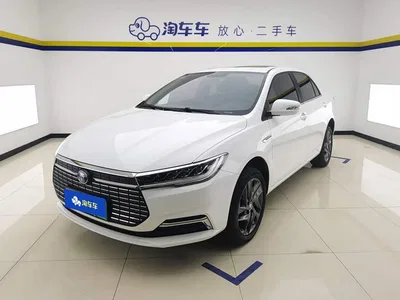 2019 BYD Qin New Energy Long Range Edition Premium, фото 1, лот 10274727