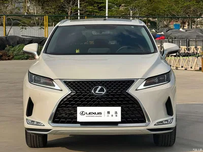 2020 Lexus RX Facelift 300 2WD Elite Edition, фото 2, лот 10315352
