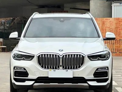 2020 BMW X5 (Import) xDrive40i M Sport Package, фото 2, лот 11513445