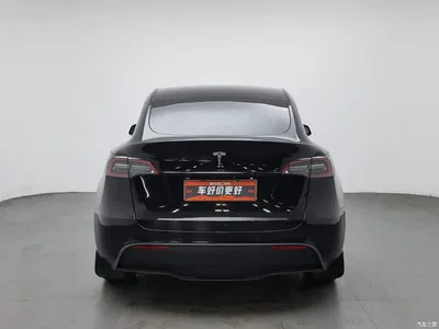 2022 Tesla Model Y Rear-Wheel Drive Version, фото 4, лот 11592701