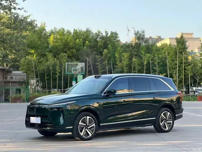 2025 WEY Lanshan AWD Max, фото 1, лот 10451855