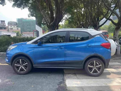 2019 BYD Yuan New Energy EV535 High Energy Navigation Edition, фото 4, лот 10272863