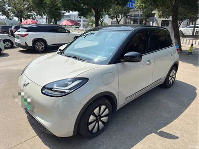 2023 Wuling Motors Wuling Bingo 333km Smart Connectivity Edition, фото 1, лот 11194396