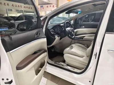 2021 Buick GL8 Land Business Class 652T Premium, фото 4, лот 10256919