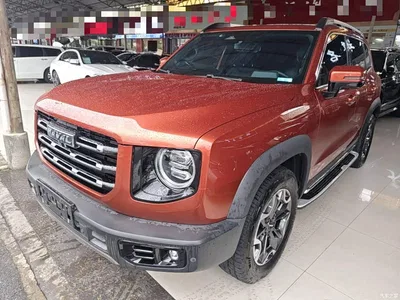 2021 Haval Big Dog 2.0T DCT 4WD Chinese Rural Dog Edition, фото 1, лот 10361488