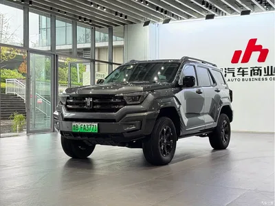 2024 Tank 400 New Energy Hi4-T Off-Road Edition, фото 1, лот 11204116