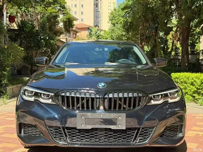 2022 BMW 3 Series 320Li M Sport Package, фото 2, лот 11568959