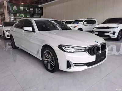 2022 BMW 5 Series Facelift 530Li Leading Luxury Package, фото 4, лот 10445773